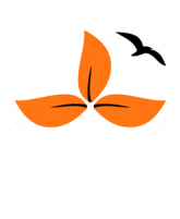 raz-care-ndis-service-provider-support-in-home-daily-living-australia-footer-logo